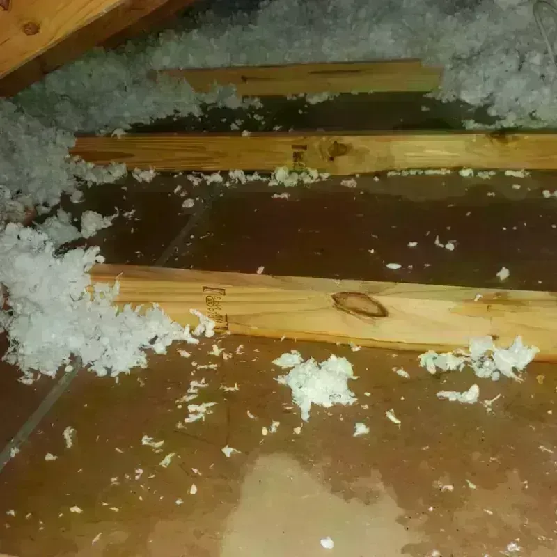 Attic Water Damage in Arnold, CA