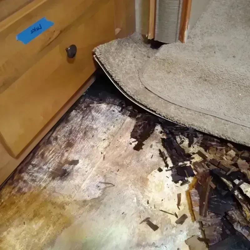 Wood Floor Water Damage in Arnold, CA